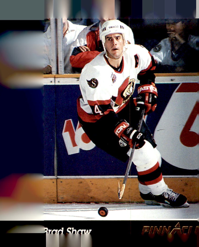 1993-94 Pinnacle #271 Brad Shaw