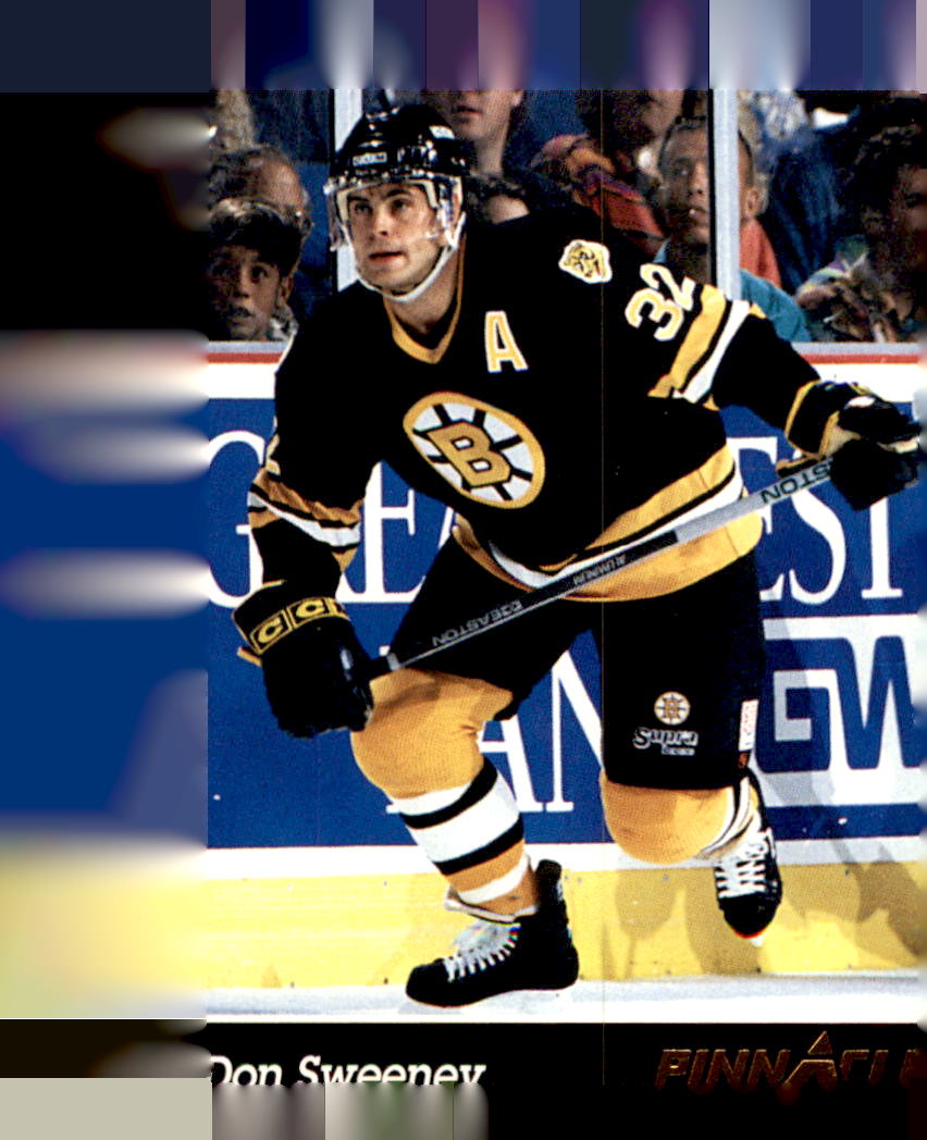 1993-94 Pinnacle #269 Don Sweeney