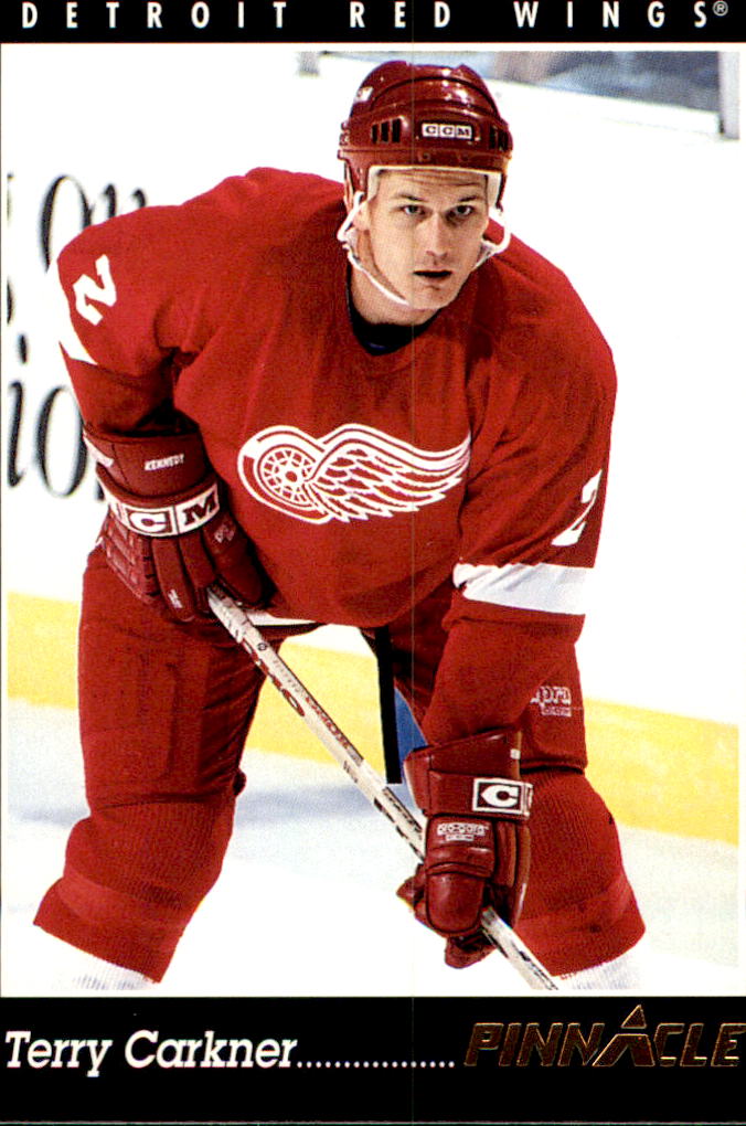 1993-94 Pinnacle #286 Terry Carkner