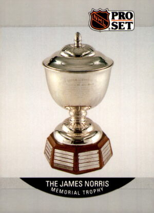 1990-91 Pro Set #384 The James Norris Memorial Trophy