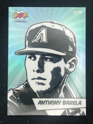 2025 Brixton Titanium Anthony Barela Pop 13/20