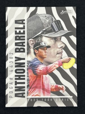 2025 Brixton Parallel Universe Anthony Barela Zebra