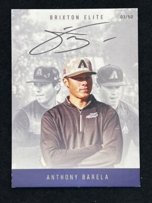 2025 Brixton DGPT Anthony Barela Brixton Elite 03/50 Autographed