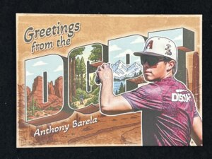 2025 Brixton DGPT Anthony Barela Wish You Were Here