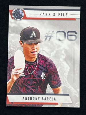 2025 Brixton DGPT Anthony Barela Rank & File