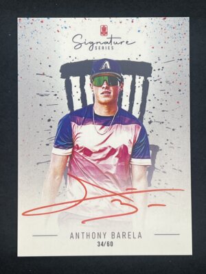 2025 Brixton DGPT Anthony Barela Signature Series 34/60