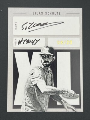 2025 Brixton DGPT Silas Schultz XL Auto 08/20